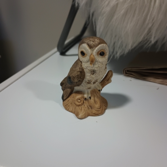 Pay what you want!!!!      Cute little vintage Owl. - Picture 4 of 7